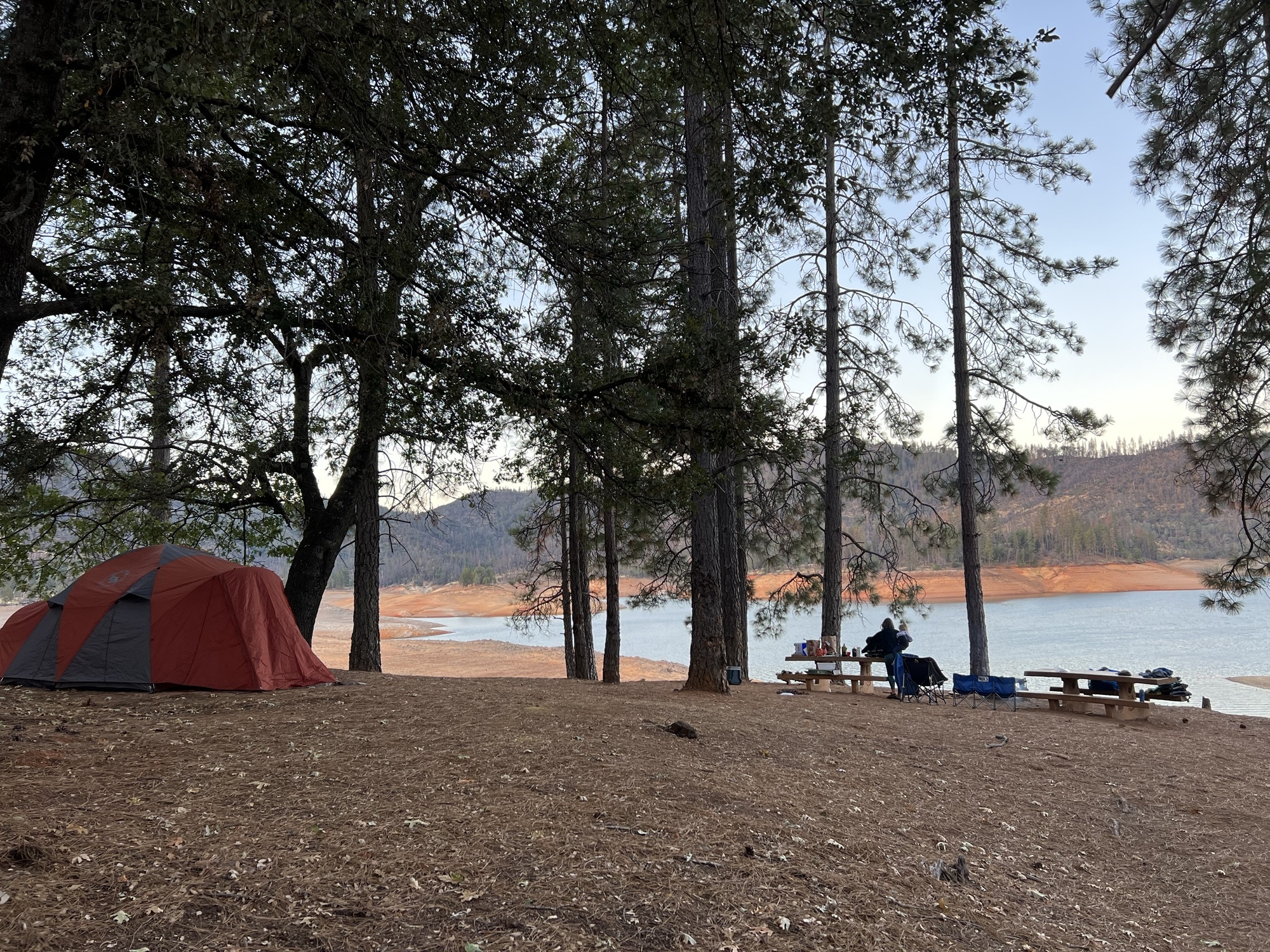A tent and two picnic tables under tall pines at Ski Island boat-in camp, with Shasta Lake and its drawdown line behind