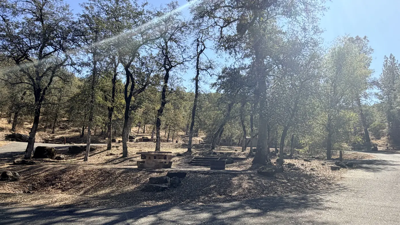 Oak-shaded campsite with a picnic table at Lower Jones Valley Campground