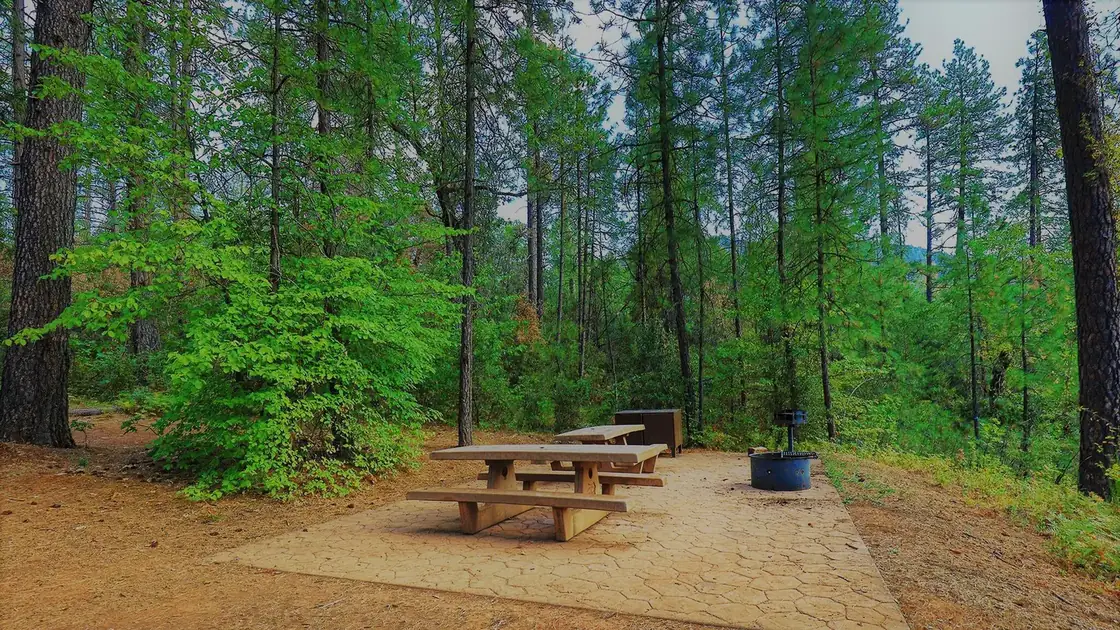 Hirz Bay Campground on the McCloud Arm of Shasta Lake