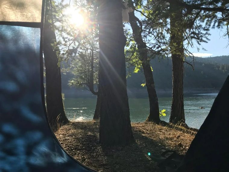 View from inside a tent at Arbuckle Flat, looking through pines to the sunlit water of Shasta Lake