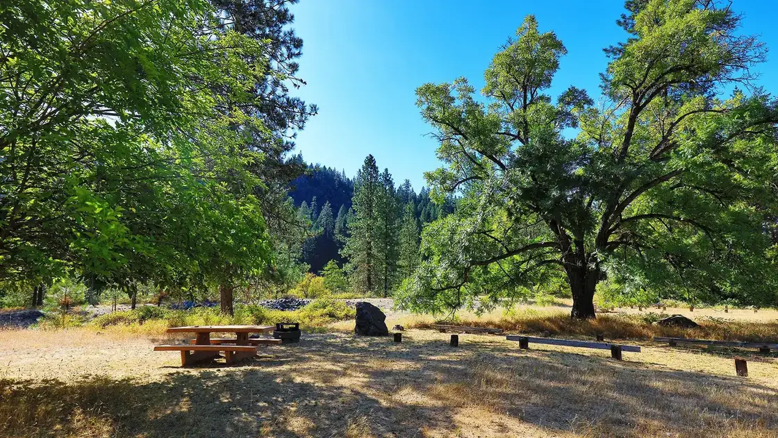 McCloud Bridge Campground at the top of the McCloud Arm of Shasta Lake