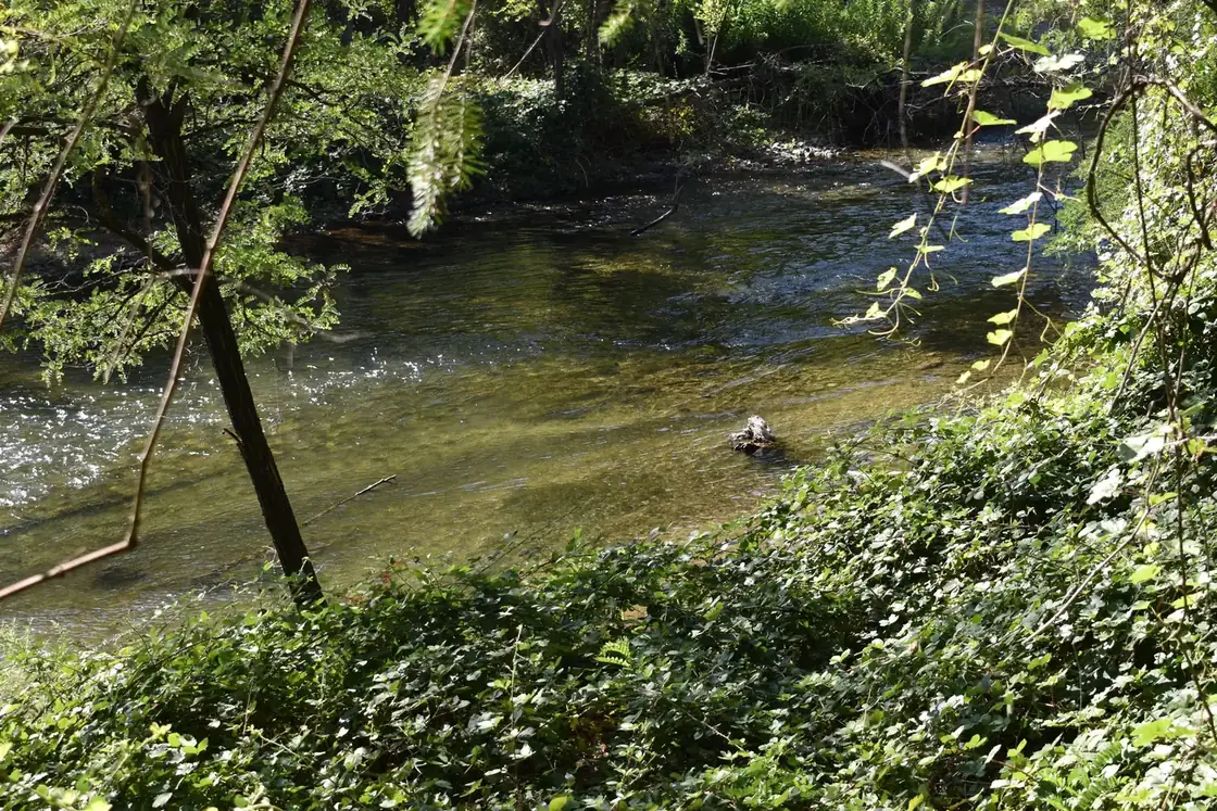 Alternate view of Clear Creek at Peltier Bridge Campground