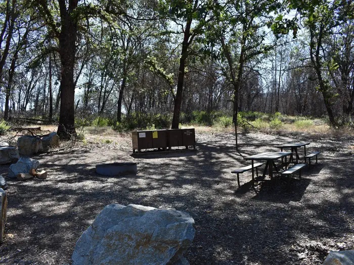 A shaded site at Horse Camp with picnic tables, fire ring and bear box under oaks