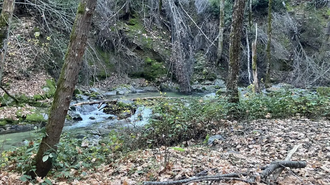 Crystal Creek flowing alongside the campsites at Crystal Creek Campground, Whiskeytown National Recreation Area